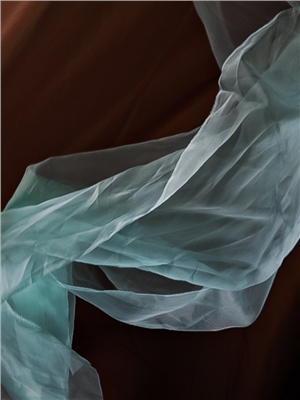 ORGANZA