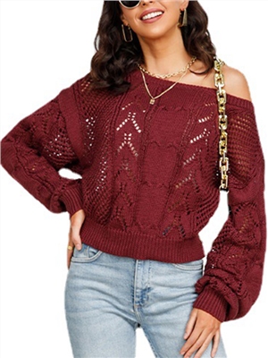 Solid color crew neck long sleeves hollow casual sweaters