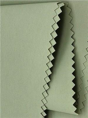 Taslon waterproof high density fabric