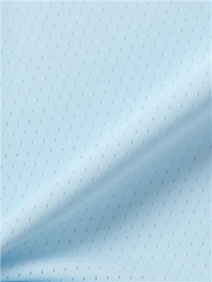 Polyester ammonia ice silk knitted fabric